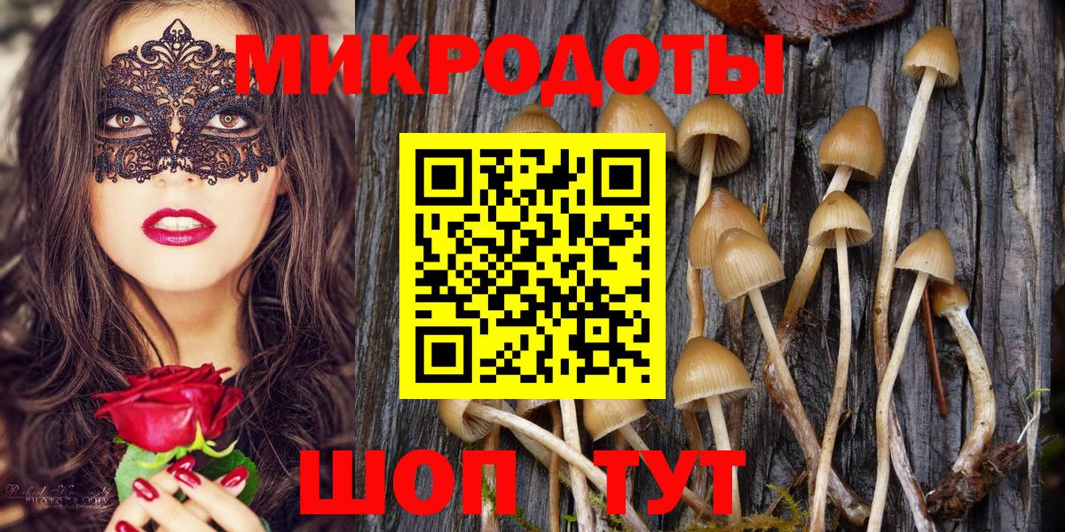 Королёв  Галлюциногенные грибы MAGIC MUSHROOMS  Вход с VPN 